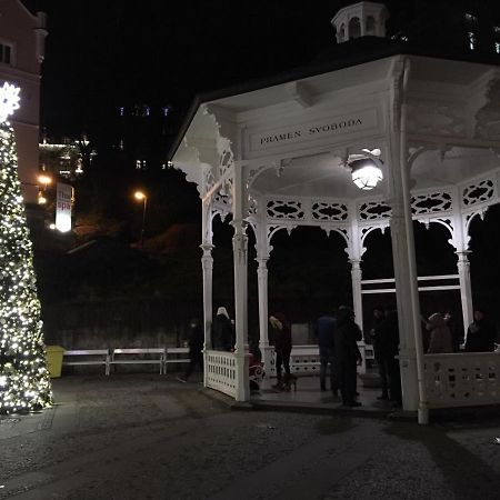 Elvira Appartamento Karlovy Vary Esterno foto